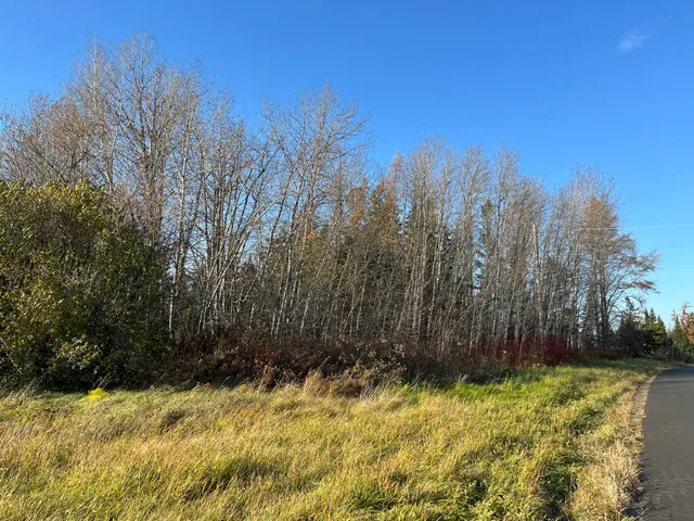 $49,500 | 0 Albair Road, Caribou, ME 04736