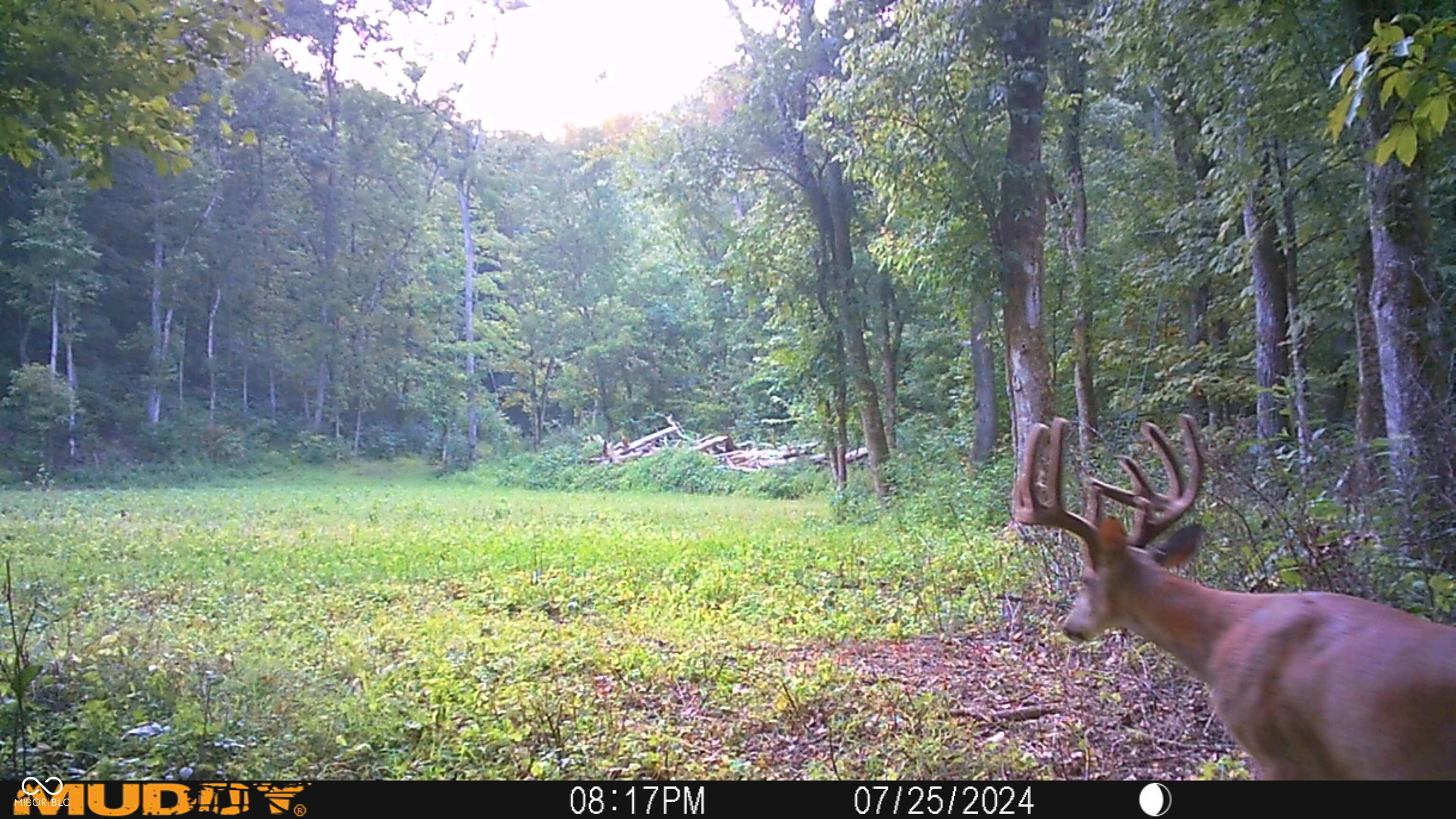 2933 Saluda Hl Road Hanover, IN 47243 - Photo 105 of 122