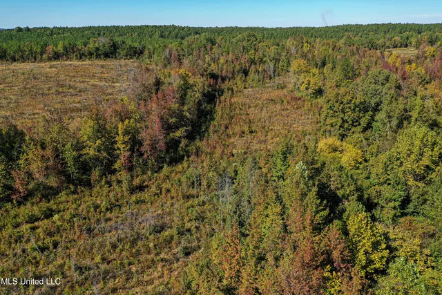 $546,856 | 1 Mississippi 331, Paris, MS 38949