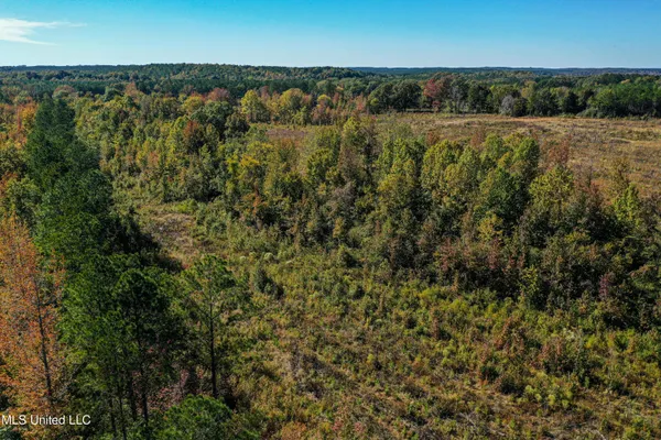 $546,856 | 1 Mississippi 331, Paris, MS 38949
