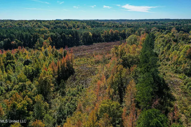 $546,856 | 1 Mississippi 331, Paris, MS 38949