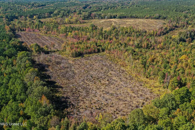 $546,856 | 1 Mississippi 331, Paris, MS 38949