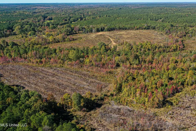 $546,856 | 1 Mississippi 331, Paris, MS 38949