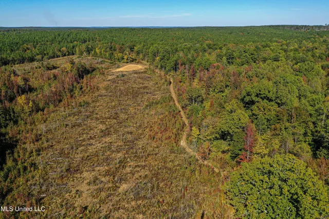 $546,856 | 1 Mississippi 331, Paris, MS 38949