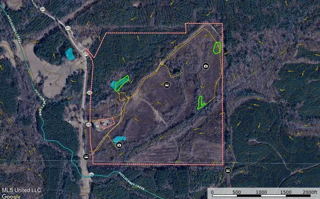 $546,856 | 1 Mississippi 331, Paris, MS 38949