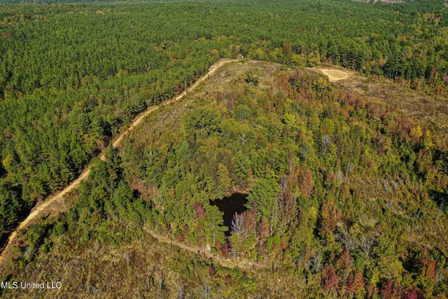 $546,856 | 1 Mississippi 331, Paris, MS 38949