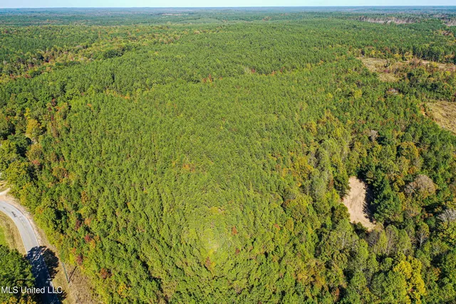 $546,856 | 1 Mississippi 331, Paris, MS 38949