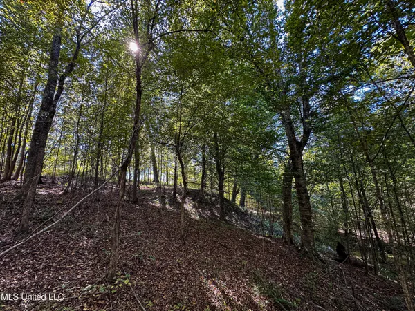 $546,856 | 1 Mississippi 331, Paris, MS 38949