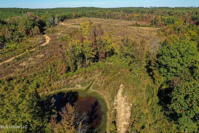 $546,856 | 1 Mississippi 331, Paris, MS 38949