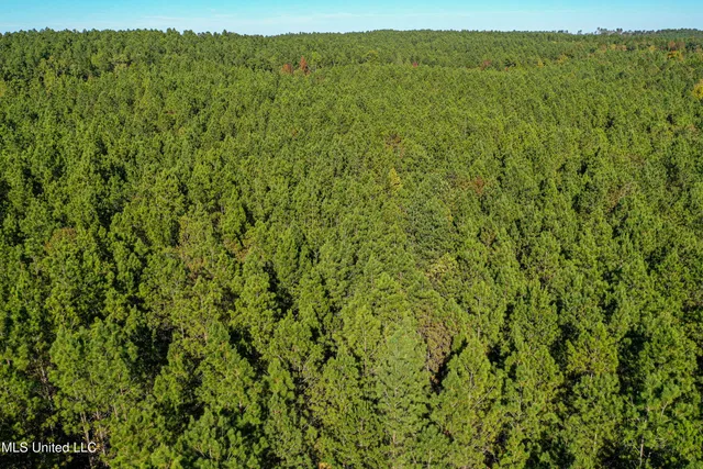 $546,856 | 1 Mississippi 331, Paris, MS 38949