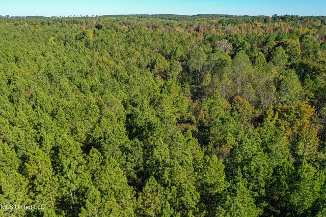 $546,856 | 1 Mississippi 331, Paris, MS 38949