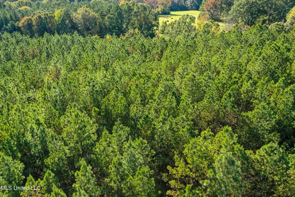 $546,856 | 1 Mississippi 331, Paris, MS 38949