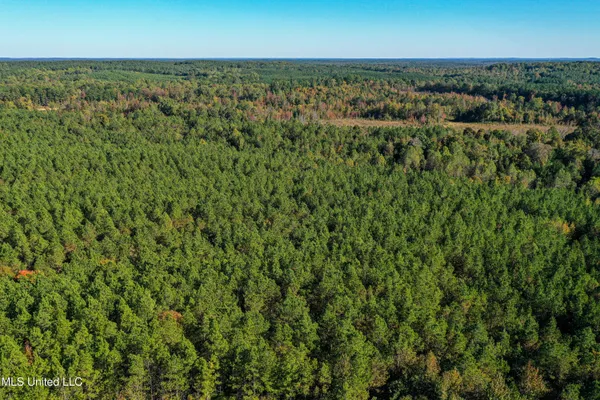 $546,856 | 1 Mississippi 331, Paris, MS 38949