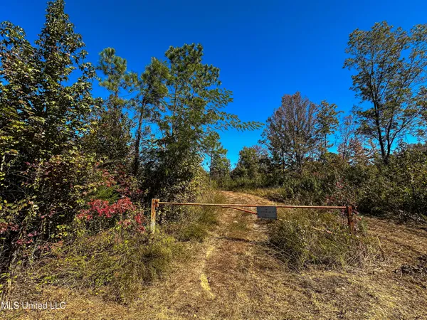 $546,856 | 1 Mississippi 331, Paris, MS 38949