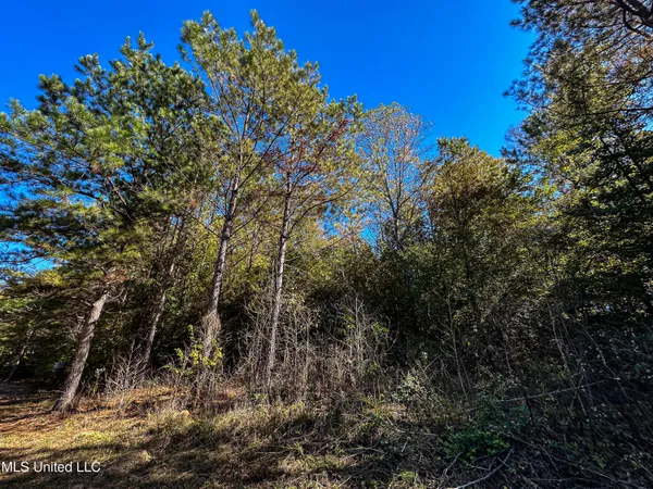 $546,856 | 1 Mississippi 331, Paris, MS 38949