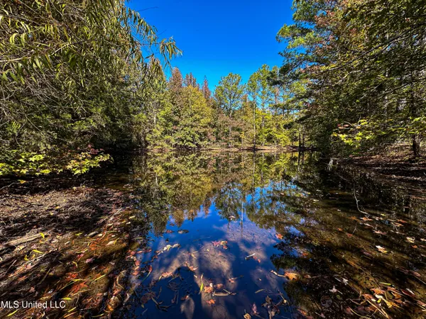 $546,856 | 1 Mississippi 331, Paris, MS 38949