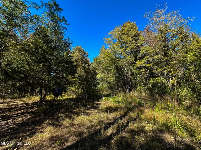 $546,856 | 1 Mississippi 331, Paris, MS 38949