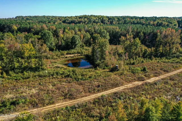 $546,856 | 1 Mississippi 331, Paris, MS 38949