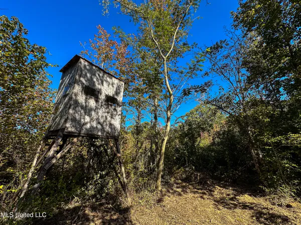 $546,856 | 1 Mississippi 331, Paris, MS 38949