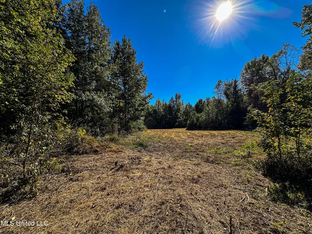 $546,856 | 1 Mississippi 331, Paris, MS 38949