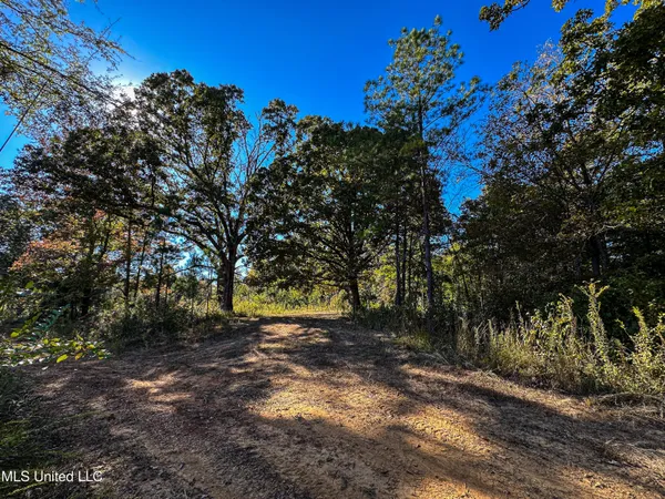 $546,856 | 1 Mississippi 331, Paris, MS 38949