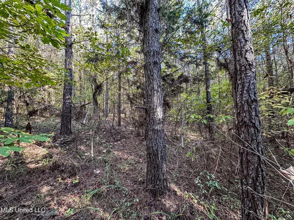 $546,856 | 1 Mississippi 331, Paris, MS 38949