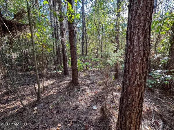 $546,856 | 1 Mississippi 331, Paris, MS 38949