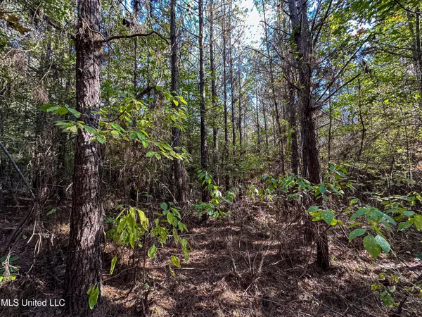 $546,856 | 1 Mississippi 331, Paris, MS 38949