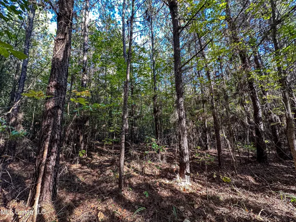 $546,856 | 1 Mississippi 331, Paris, MS 38949