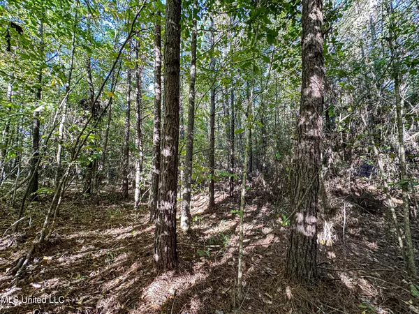 $546,856 | 1 Mississippi 331, Paris, MS 38949