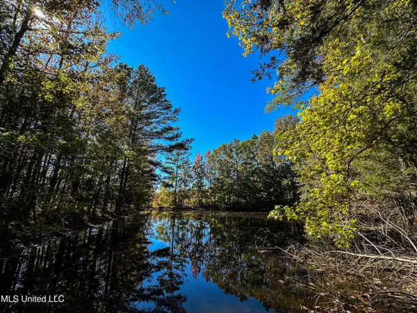 $546,856 | 1 Mississippi 331, Paris, MS 38949