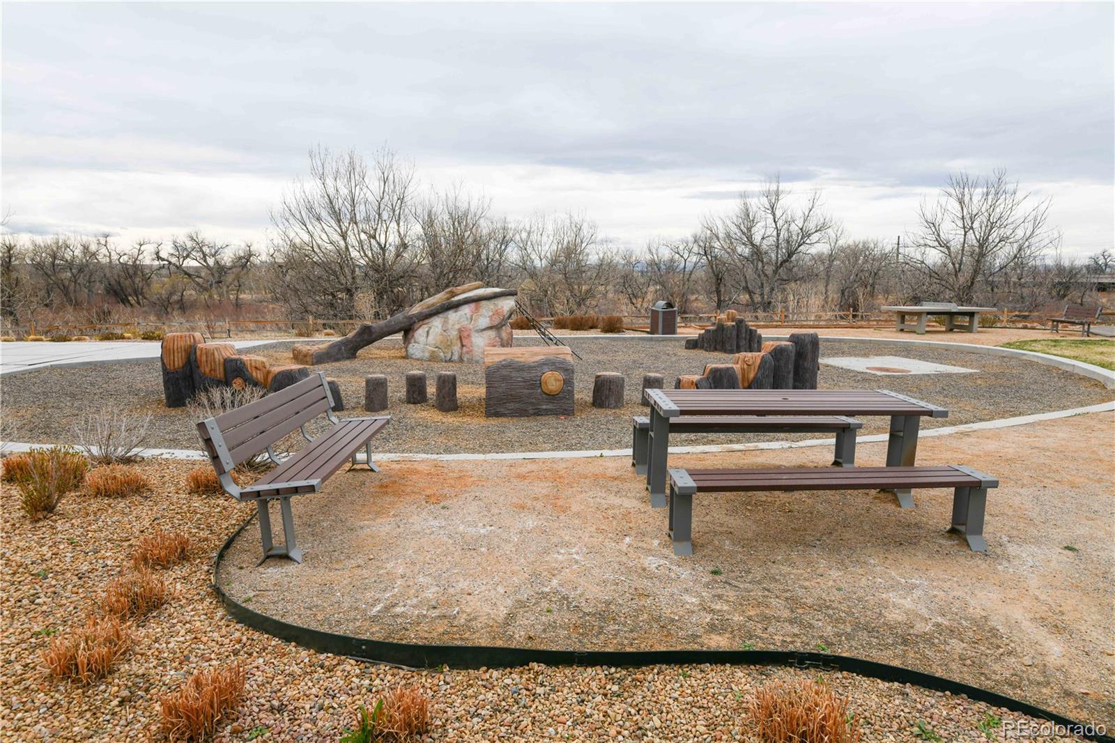 9283 Twenty Mile Road, Unit 402 Parker, CO 80134 - Photo 34 of 38