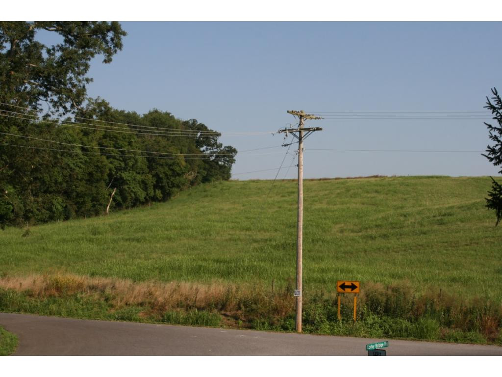 400 Corby Bridge Road Limestone, TN 37681 - Photo 4 of 24 View from Front