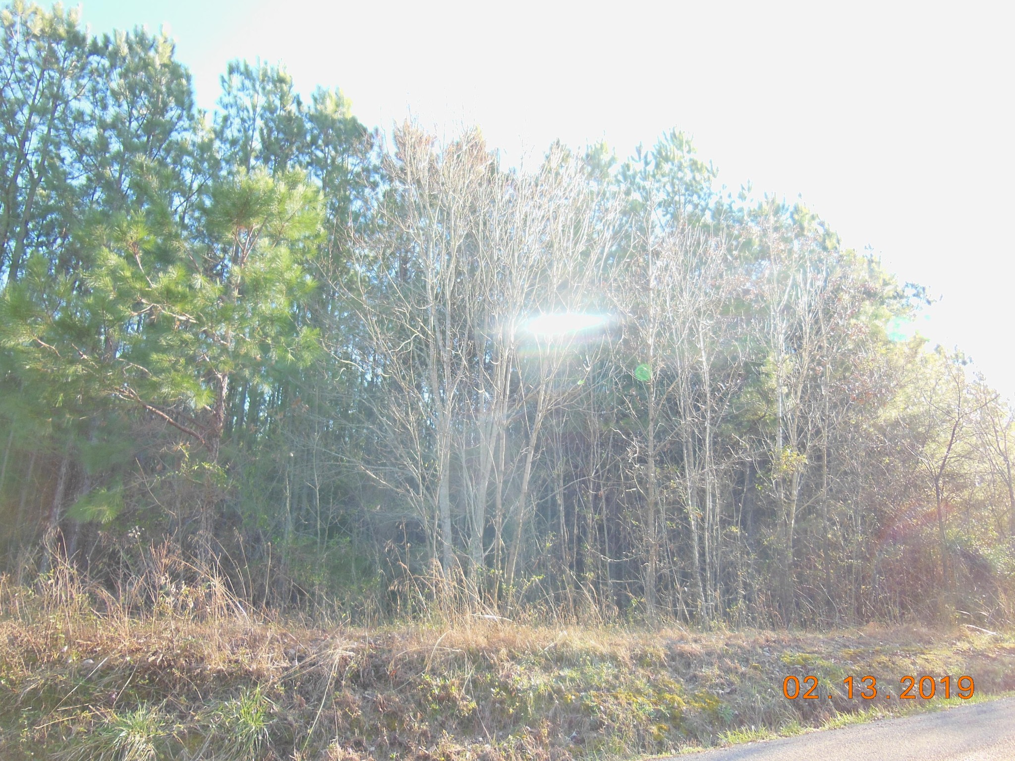 623 Ridge Road Madisonville, TN 37354 - Photo 7 of 7