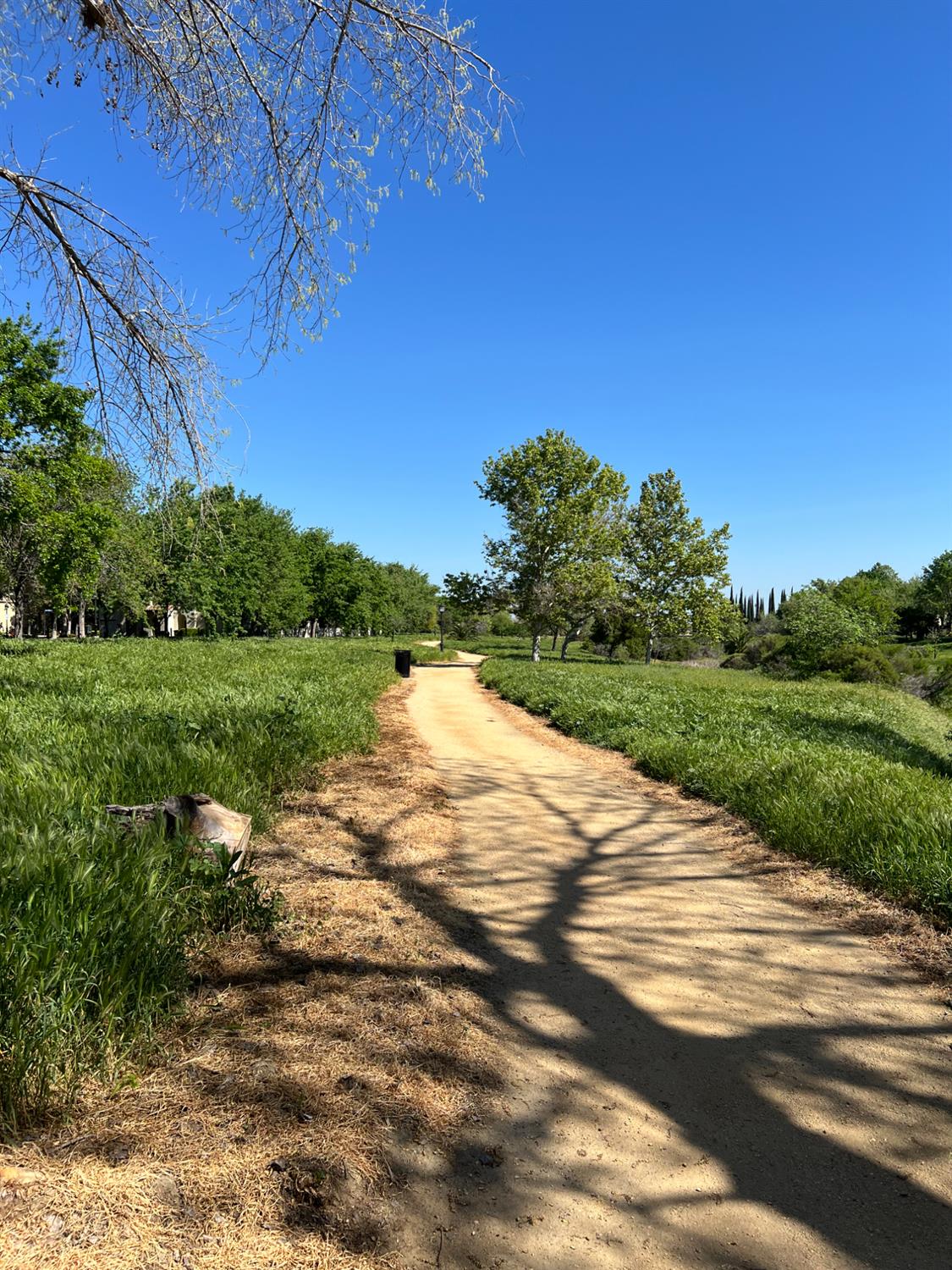 72 South Rio Rapido Drive Tracy, CA 95391 - Photo 22 of 24 a view of a road with a yard