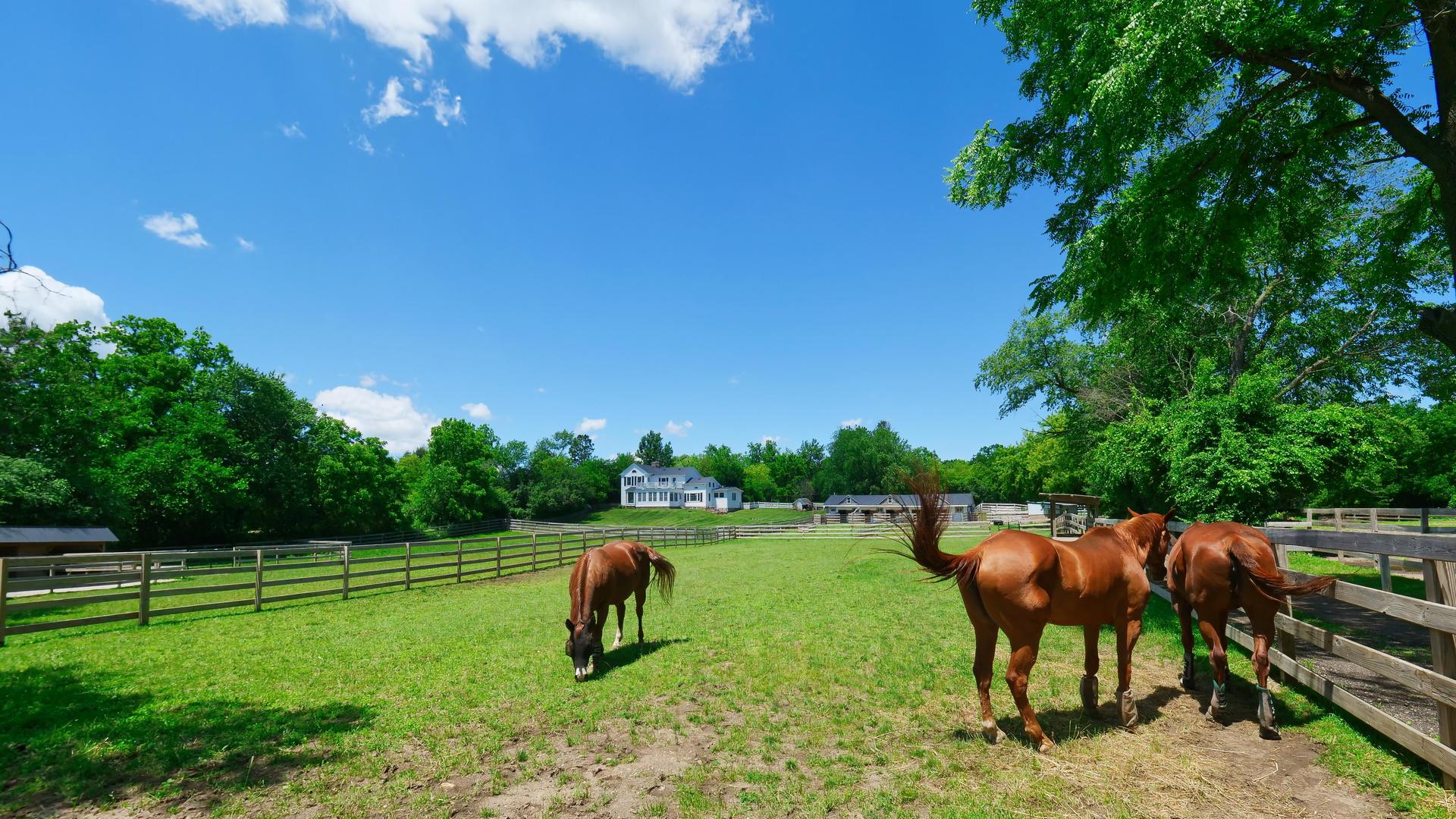 708 South Rose Farm Road Woodstock, IL 60098 - Photo 80 of 104