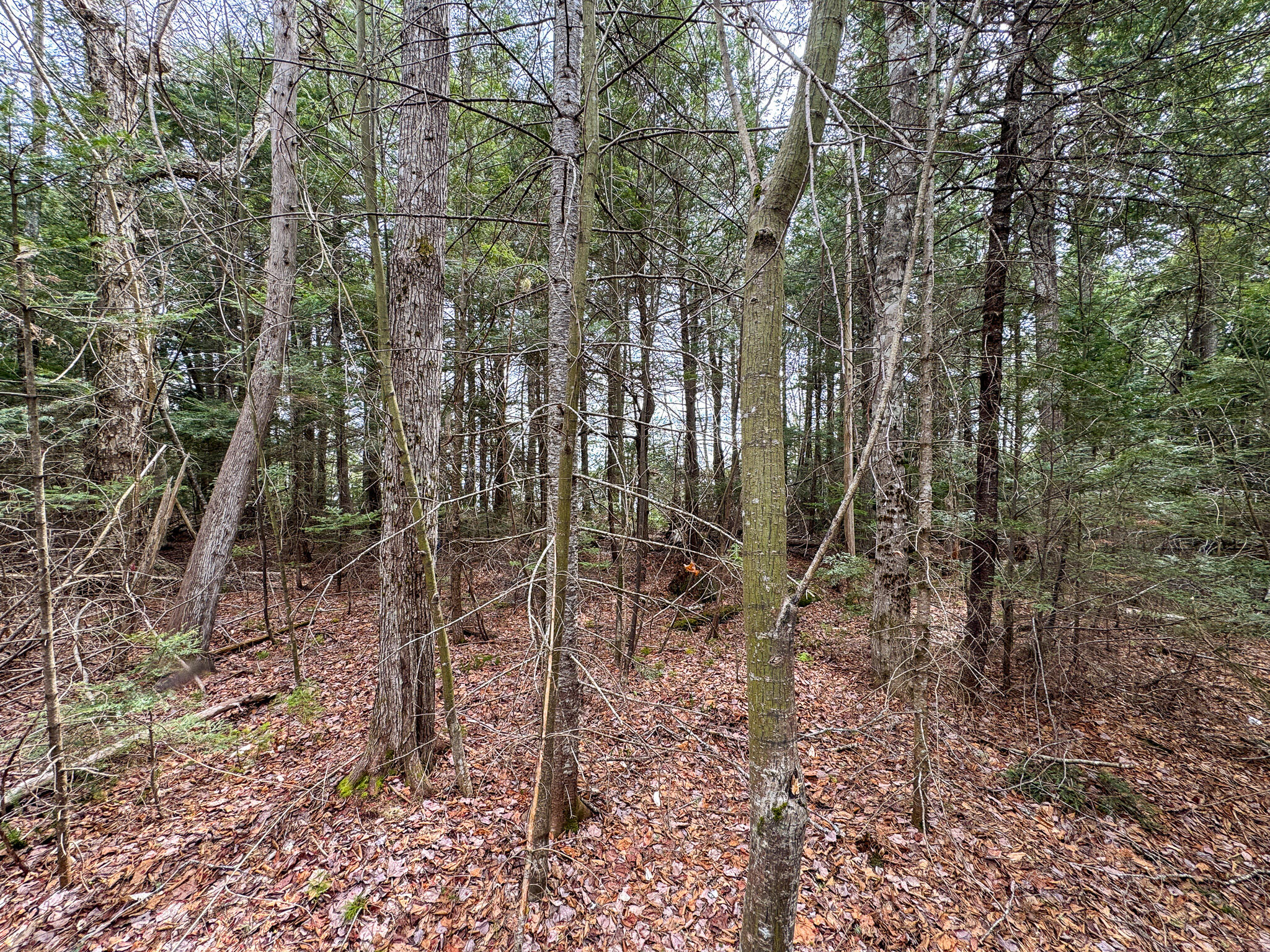 Lot 25 Woodland Ridge Road Danforth, ME 04424 - Photo 12 of 19 12