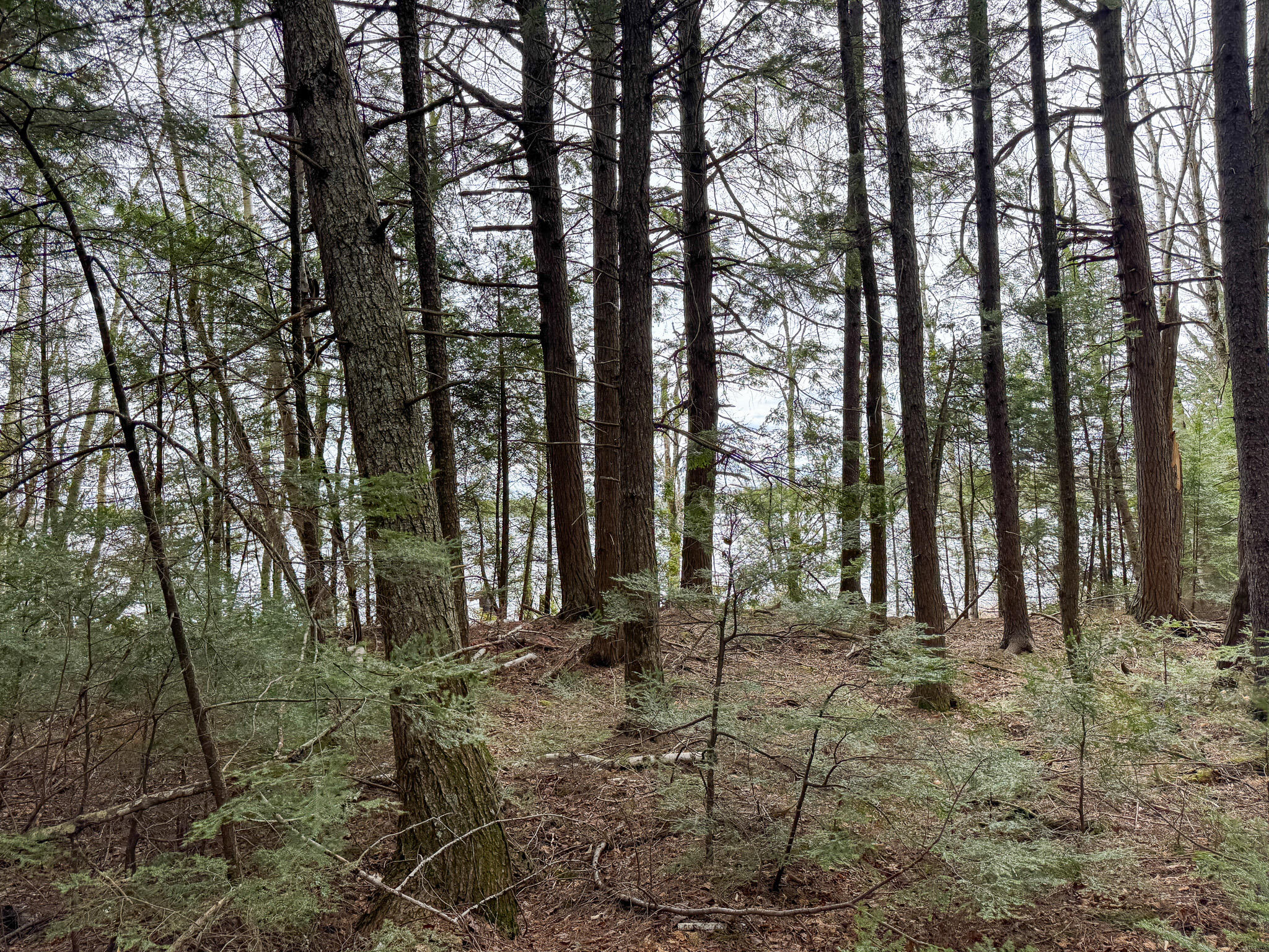 Lot 25 Woodland Ridge Road Danforth, ME 04424 - Photo 15 of 19 15