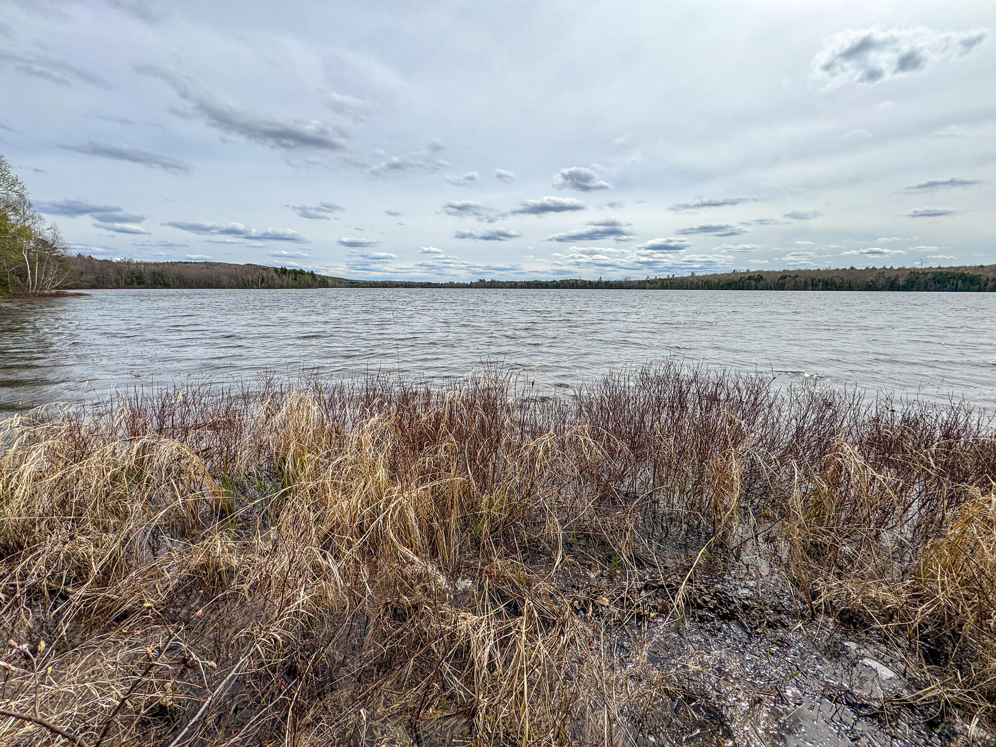 Lot 25 Woodland Ridge Road Danforth, ME 04424 - Photo 16 of 19 16