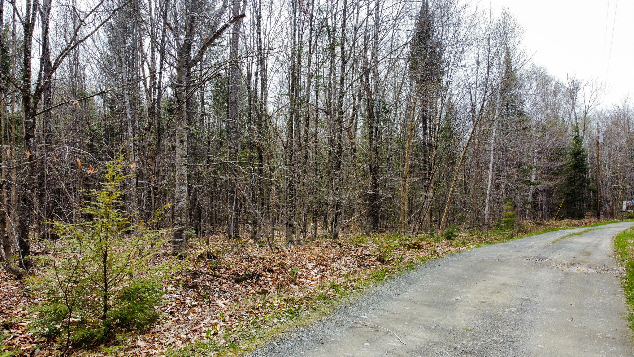 Lot 25 Woodland Ridge Road Danforth, ME 04424 - Photo 19 of 19 19