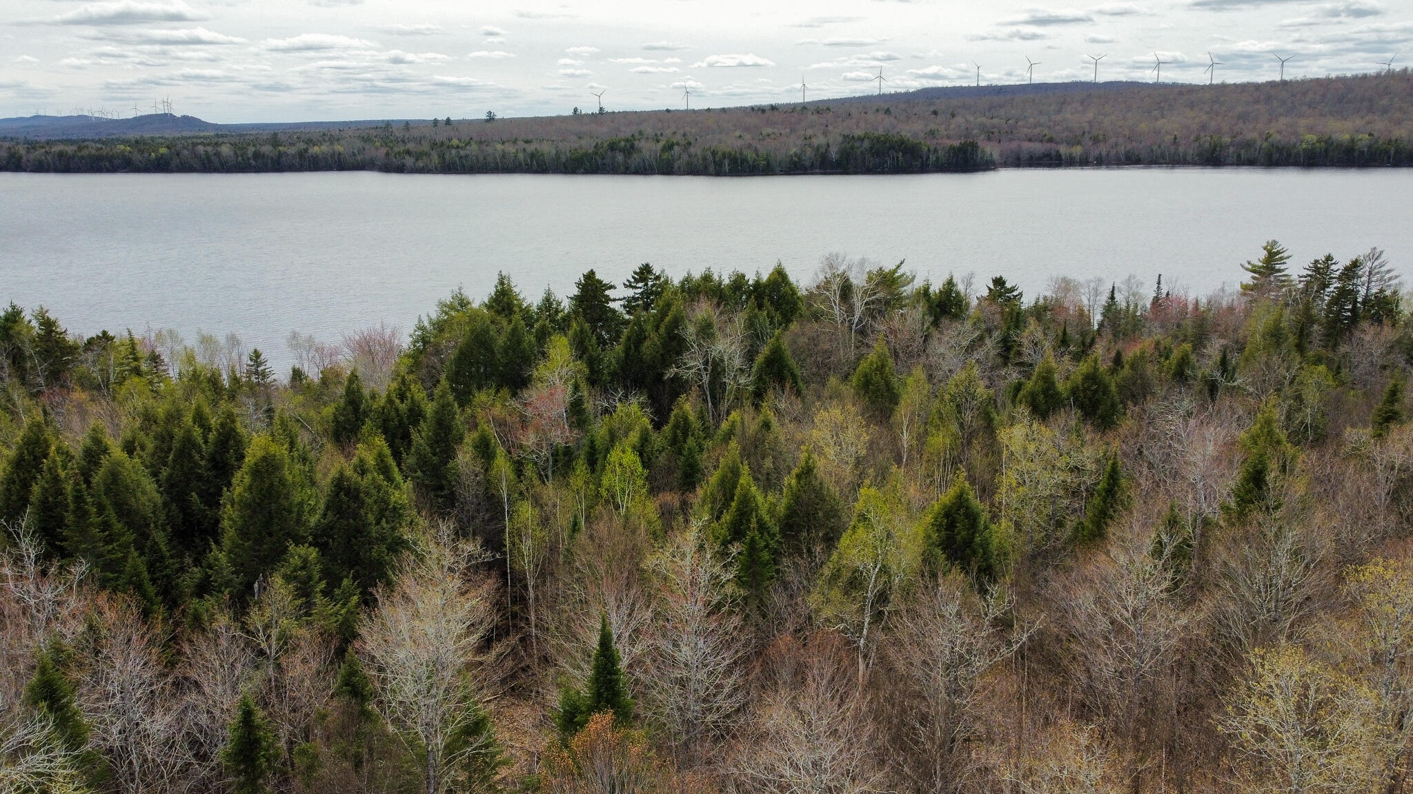 Lot 25 Woodland Ridge Road Danforth, ME 04424 - Photo 3 of 19 3