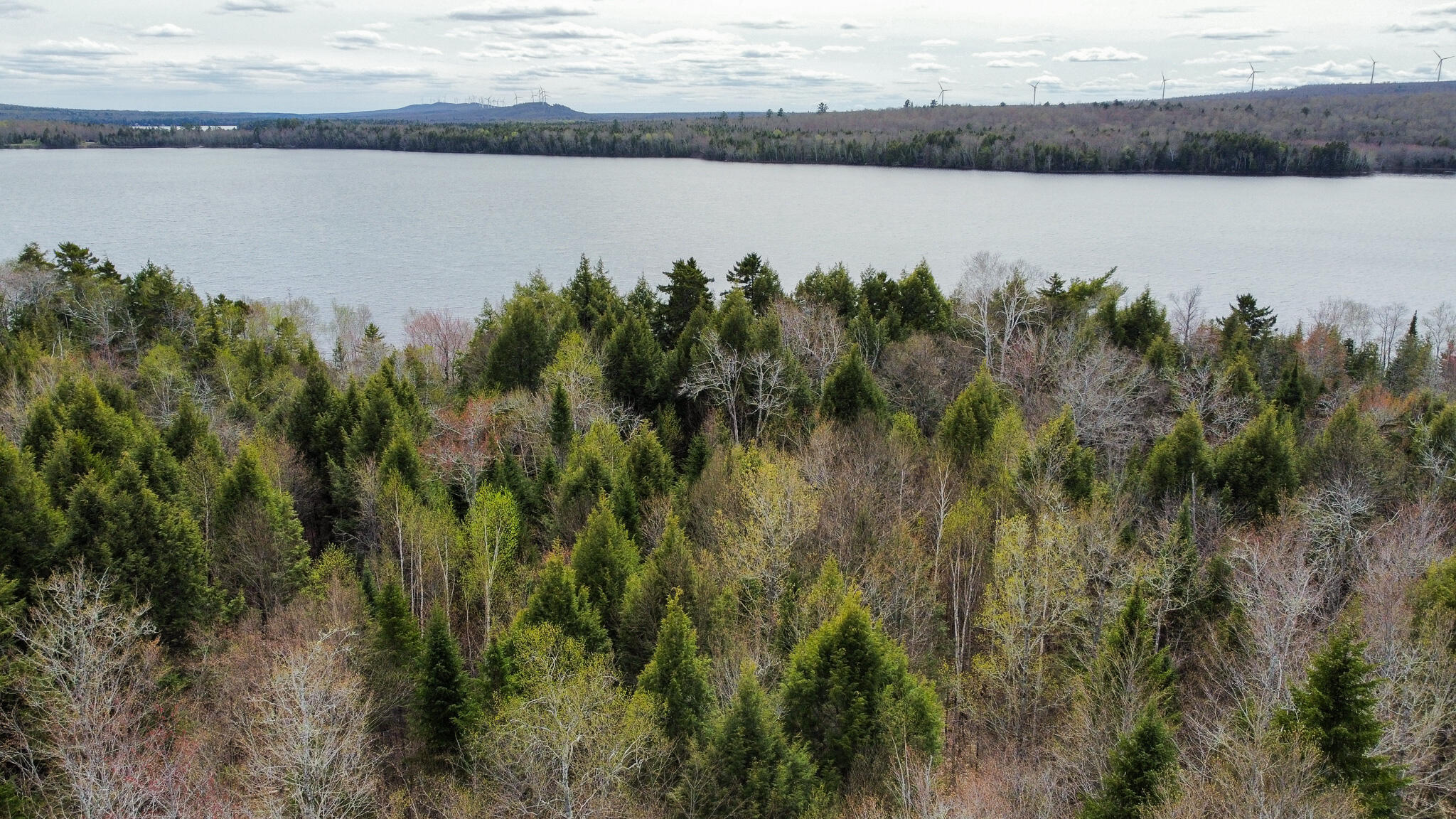 Lot 25 Woodland Ridge Road Danforth, ME 04424 - Photo 4 of 19 4
