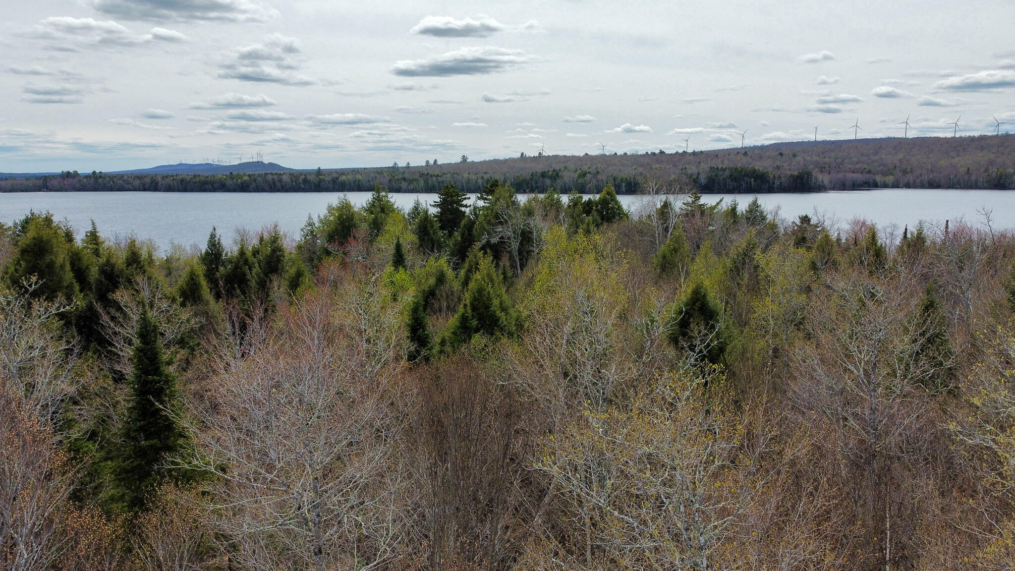 Lot 25 Woodland Ridge Road Danforth, ME 04424 - Photo 5 of 19 5
