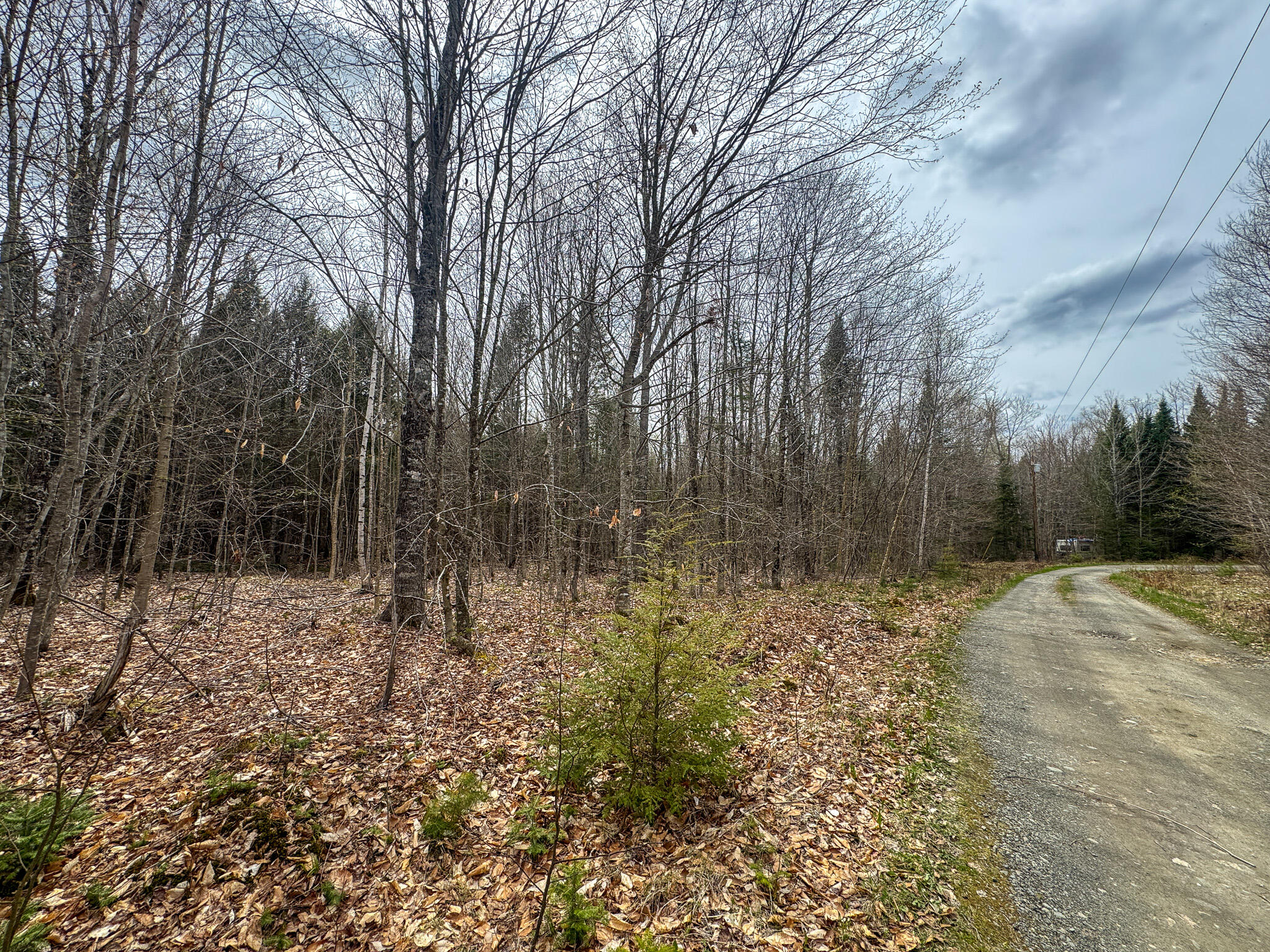 Lot 25 Woodland Ridge Road Danforth, ME 04424 - Photo 7 of 19 7