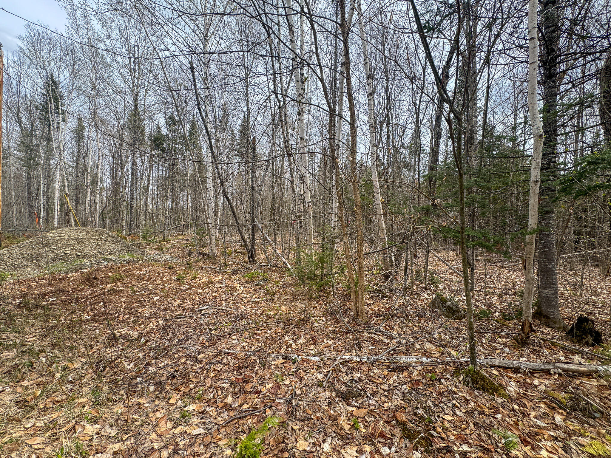 Lot 25 Woodland Ridge Road Danforth, ME 04424 - Photo 8 of 19 8