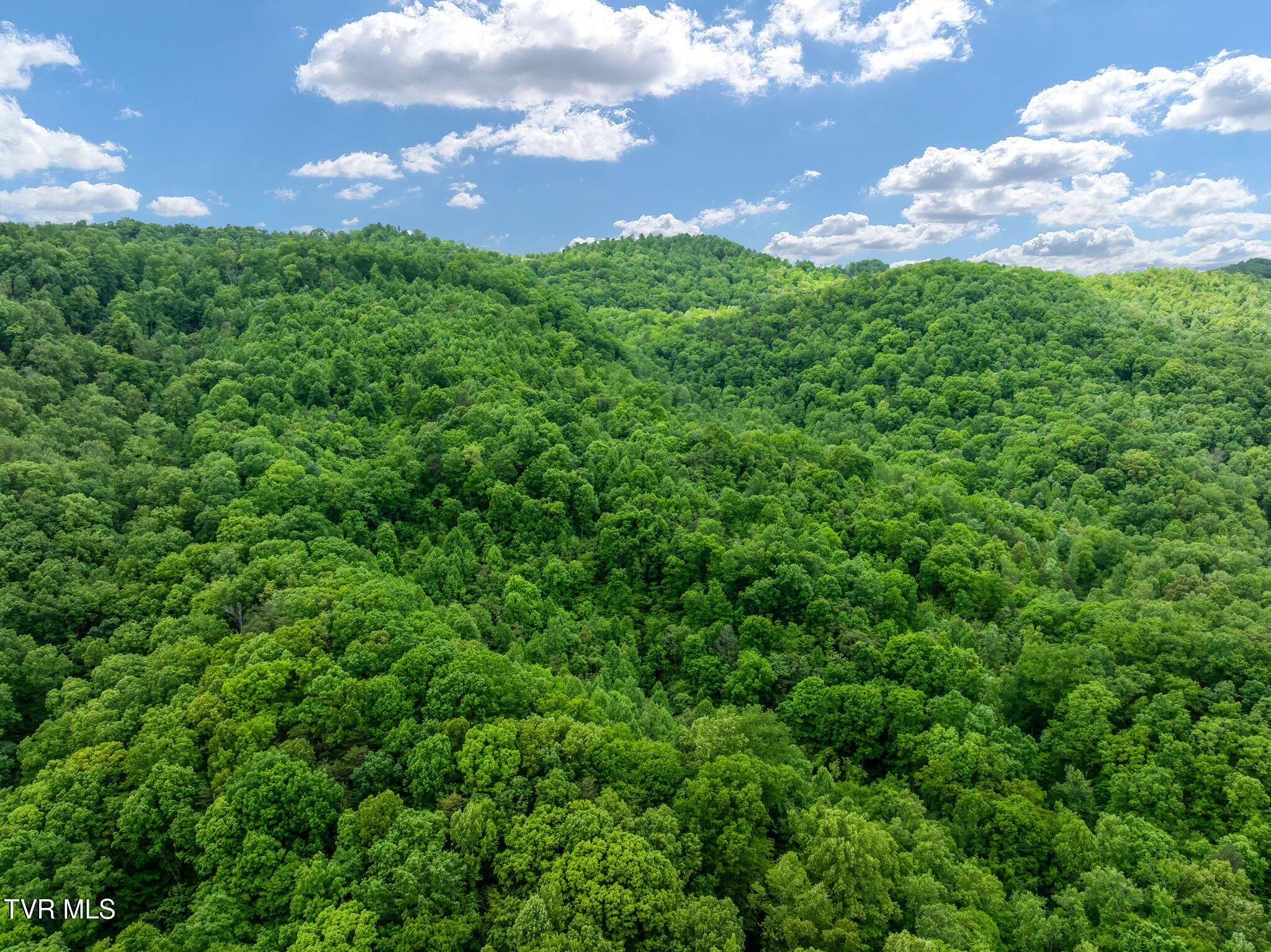 Tbd Wattenbarger Gap Road Greeneville, TN 37745 - Photo 4 of 41 DJI_0001