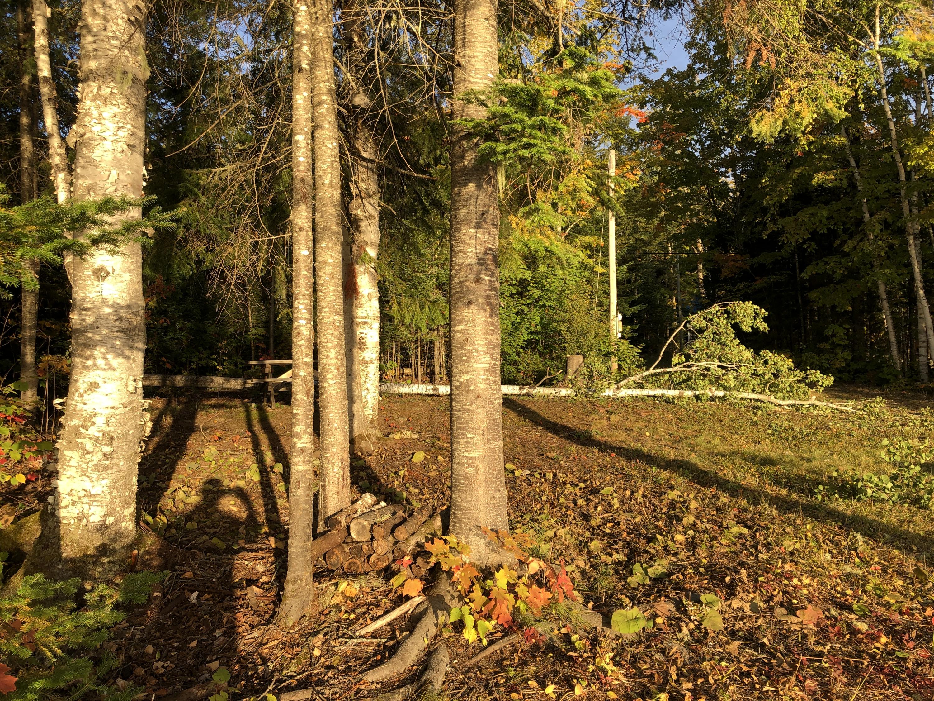 691 Little Madawaska Lake Road Stockholm, ME 04783 - Photo 20 of 21 691 Little Madawaska Lake Westmanland (3