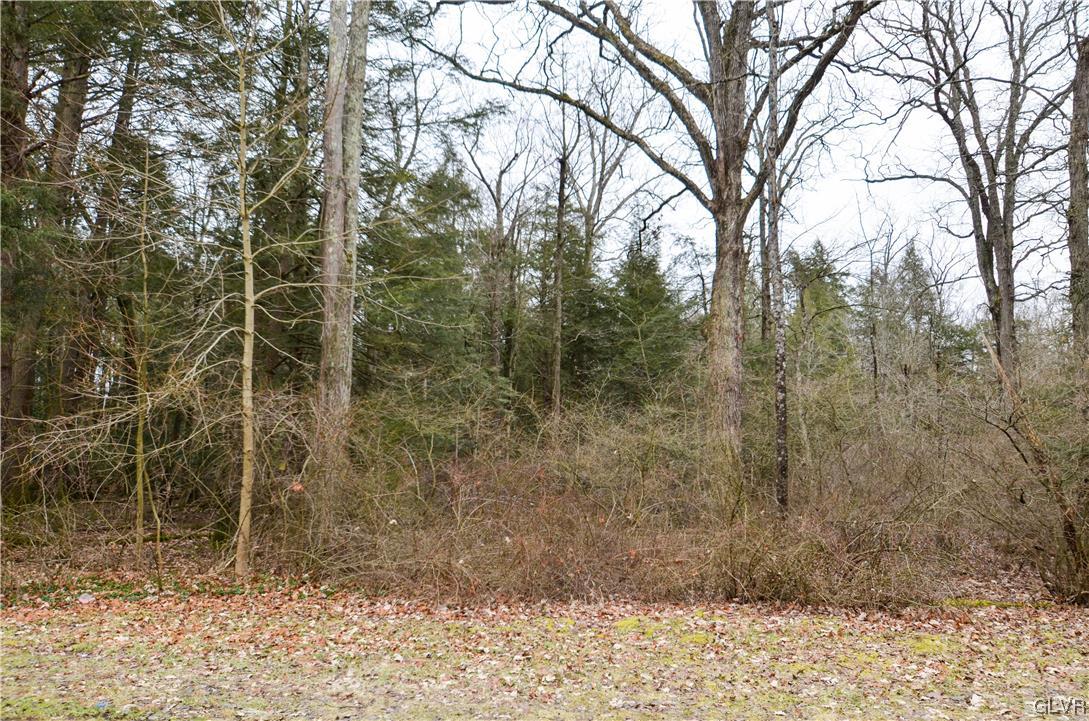 978 Interchange Road Kresgeville, PA 18333 - Photo 4 of 18 Gallery Image 4