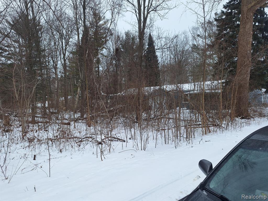 0 Birchwood Road Lexington, MI 48450 - Photo 6 of 7