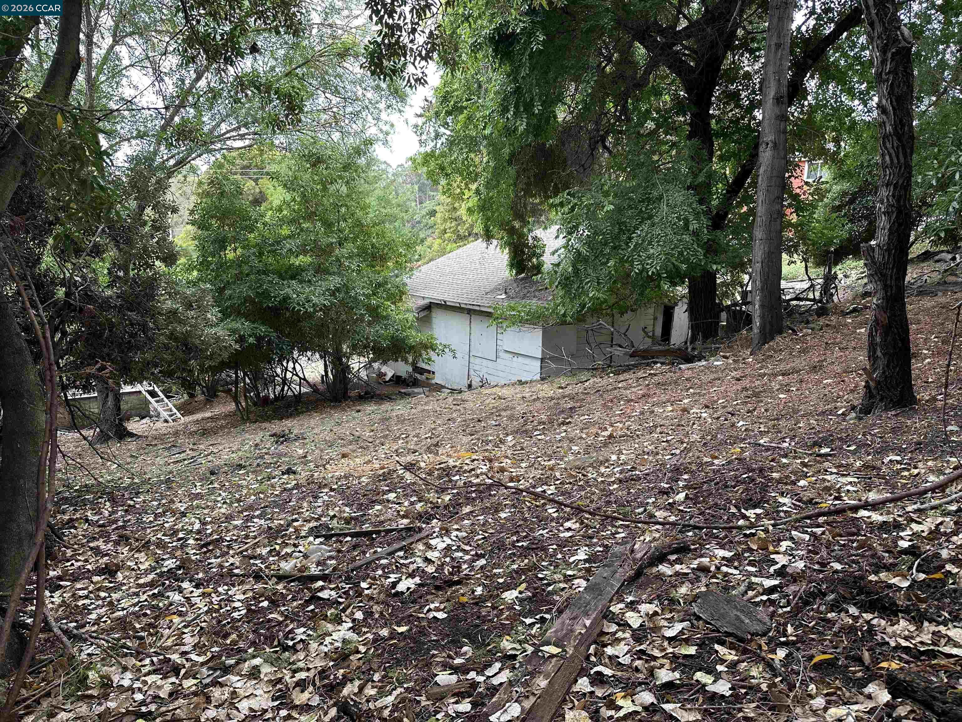 534 La Paloma Road El Sobrante, CA 94803 - Photo 8 of 14